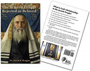 The Jewish People Book