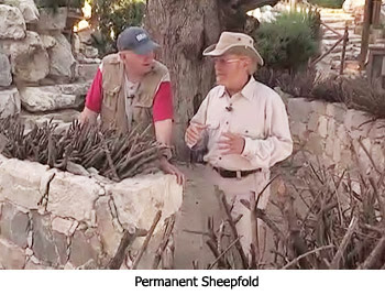 Permanent Sheepfold