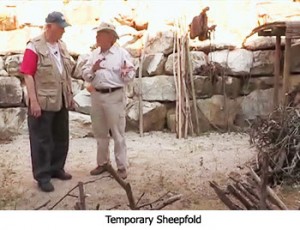 Temporary Sheepfold