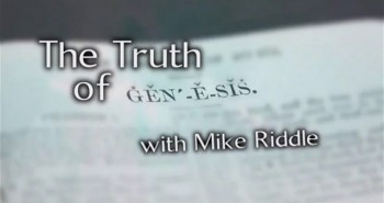 Mike Riddle on Evolution