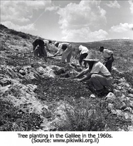 Tree Planting 1960