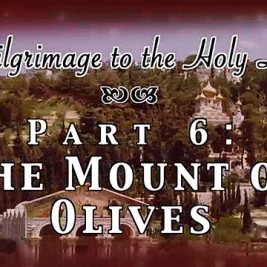 The Mount of Olives - Pilgrimage 6