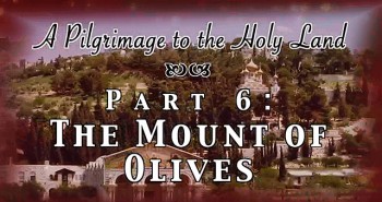The Mount of Olives - Pilgrimage 6