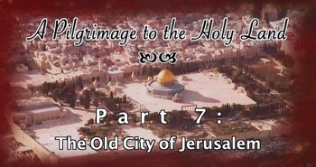 The Old City - Pilgrimage 7