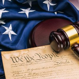 Constitution We the People