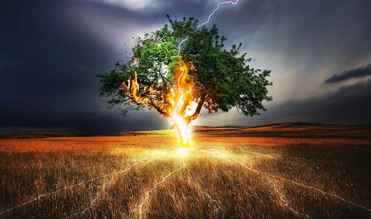 Lightning Flash on Tree