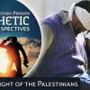 The Plight of the Palestinians