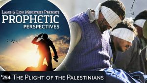 The Plight of the Palestinians