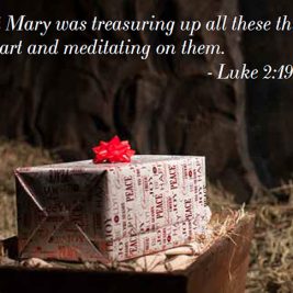 Mary Was Treasuring