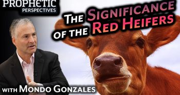 The Significance of the Red Heifers