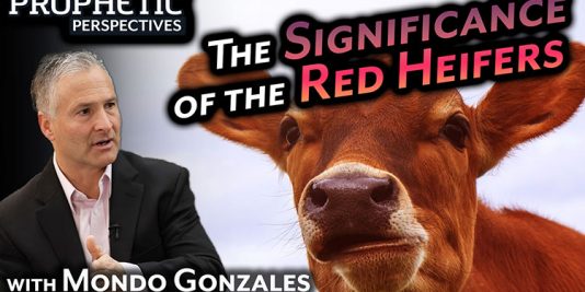 The Significance of the Red Heifers
