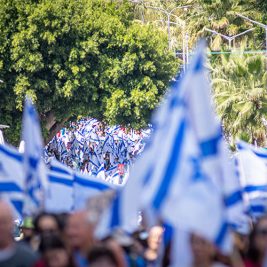Israel Flag Protests