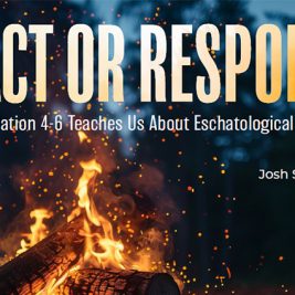 React or Respond?